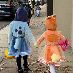 Bluey and Bingo Halloween Costumes